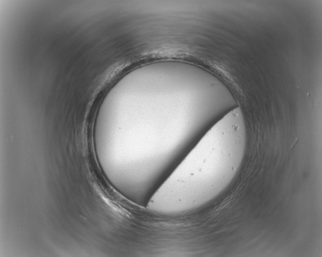 X0000061150678200511181033