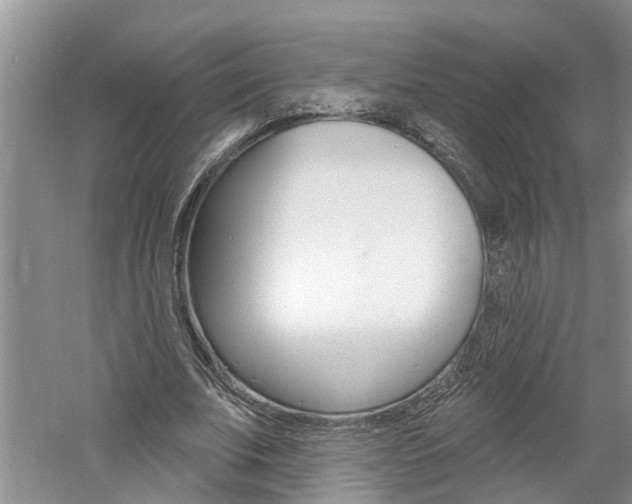 X0000061150679200511181033