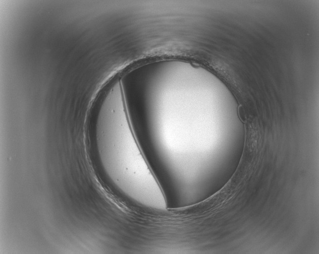 X0000061150680200511181033