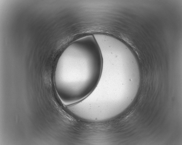 X0000061150681200511181033