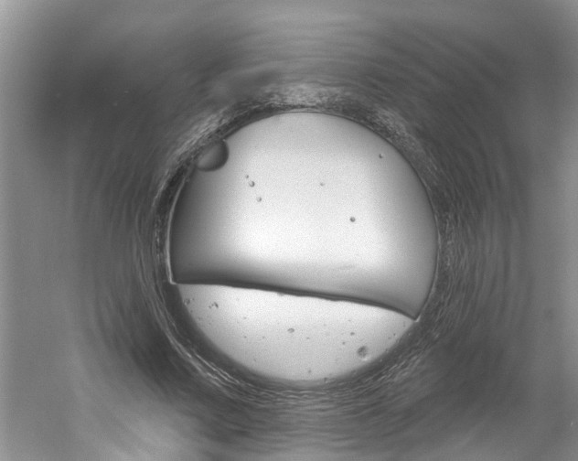 X0000061150683200511181033