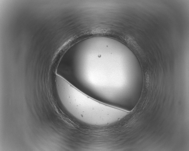 X0000061150684200511181033