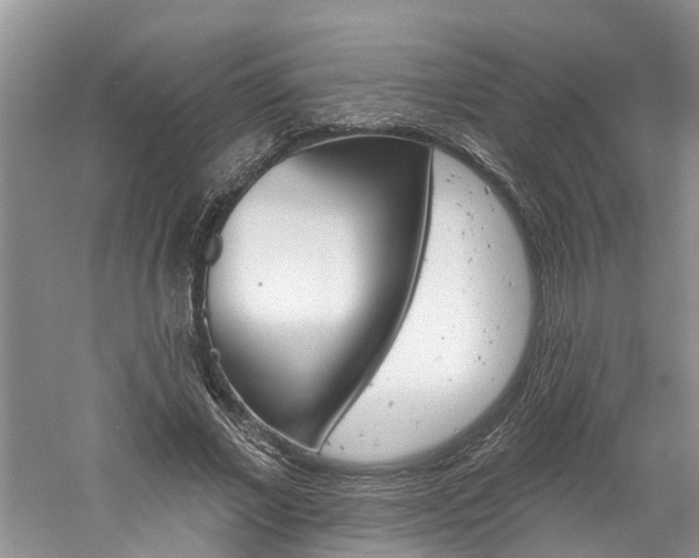 X0000061150685200511181033