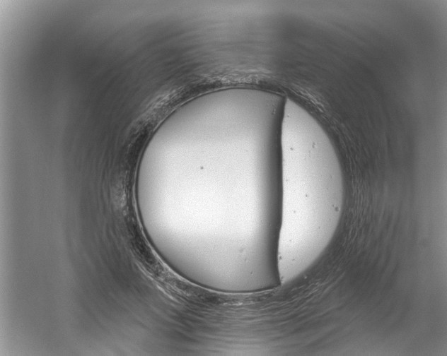 X0000061150687200511181033