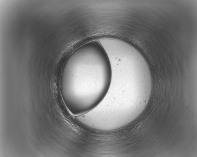 X0000061150688200511181033