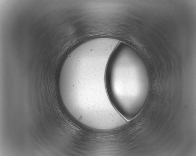 X0000061150689200511181033