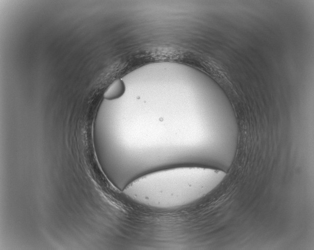 X0000061150690200511181033