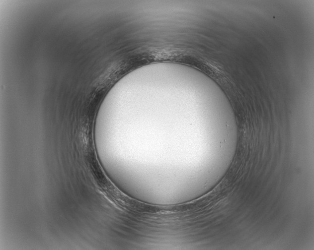 X0000061150691200511181033