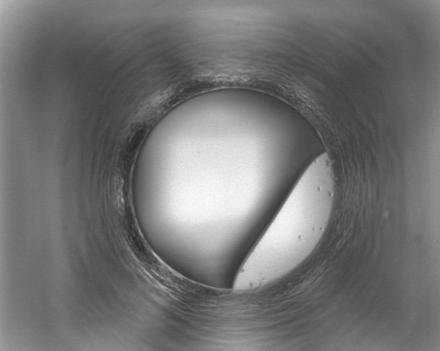 X0000061150692200511181033