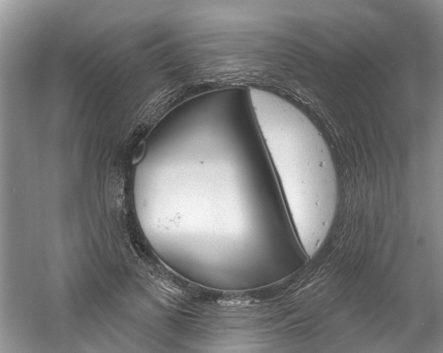 X0000061150693200511181033