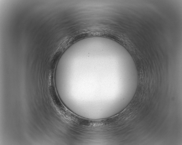 X0000061150694200511181033