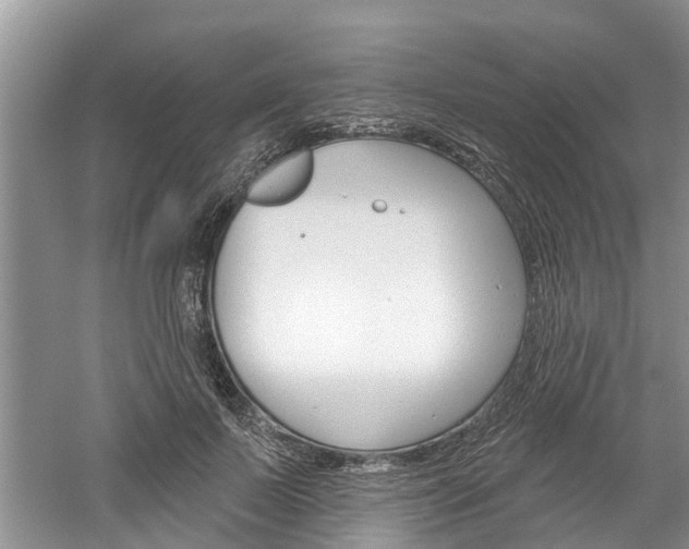 X0000061150695200511181033