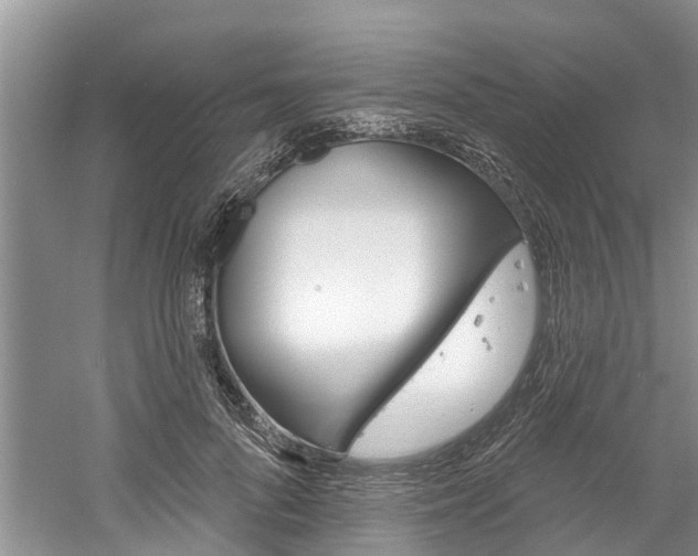 X0000061150696200511181033