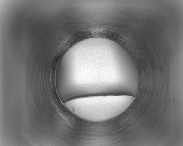 X0000061150698200511181033