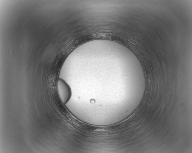 X0000061150699200511181033