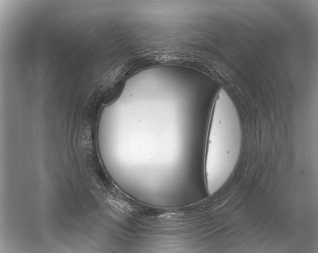 X0000061150700200511181033