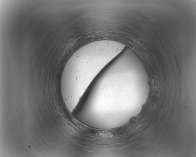 X0000061150702200511181033