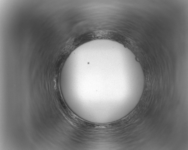 X0000061150703200511181033