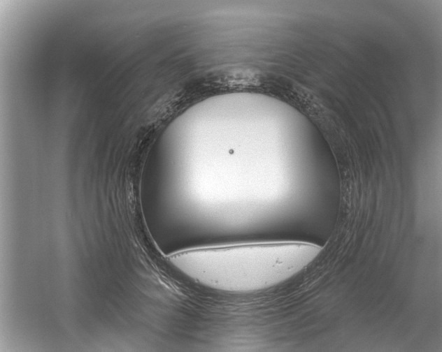 X0000061150704200511181033