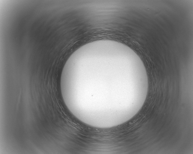 X0000061150705200511181033