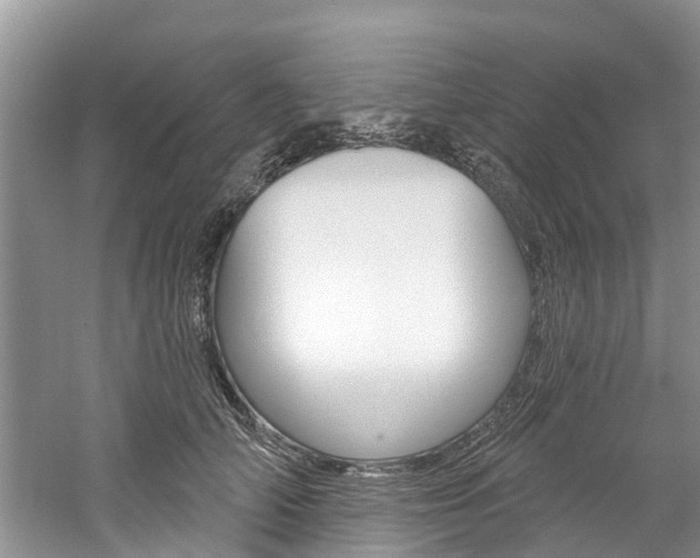 X0000061150706200511181033