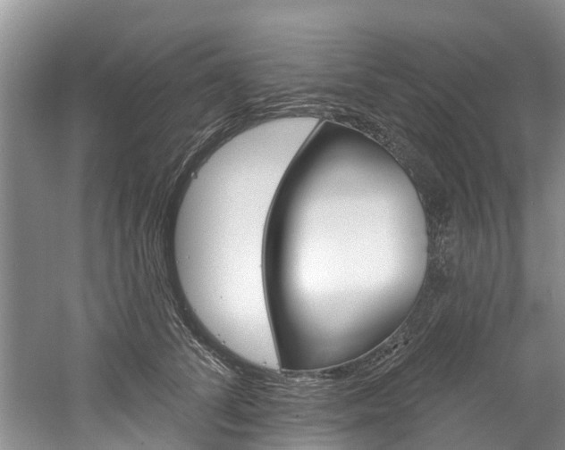 X0000061150708200511181033