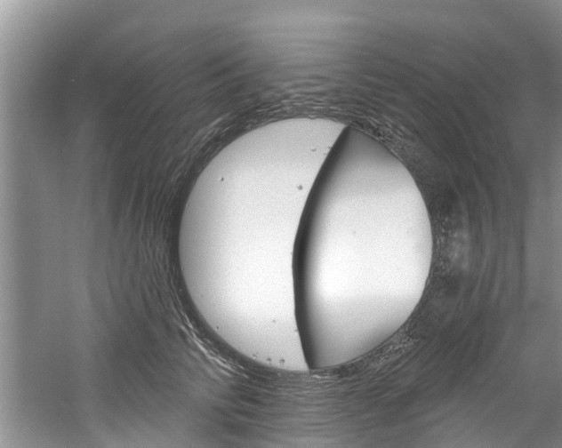 X0000061150710200511181033