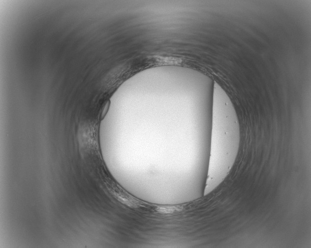 X0000061150713200511181033