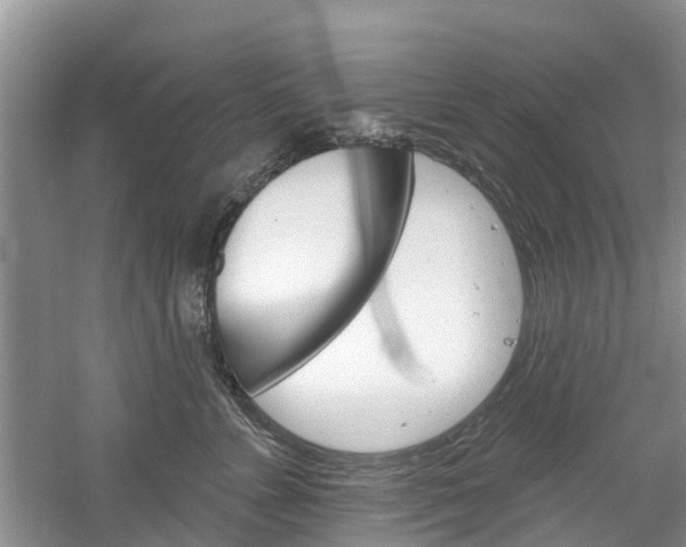 X0000061150715200511181033