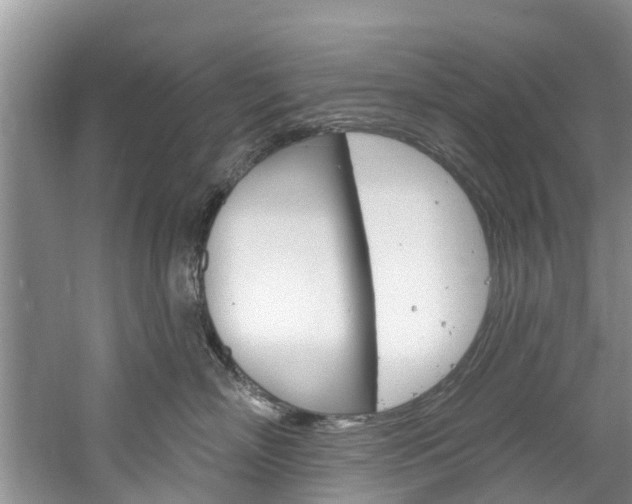 X0000061150718200511181033