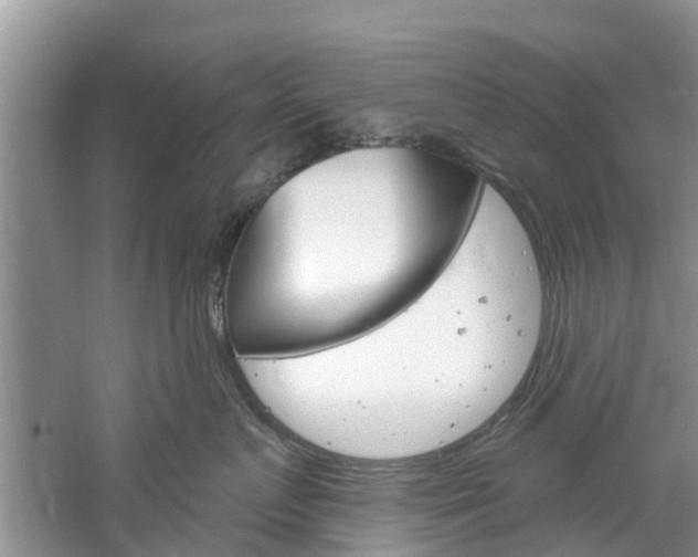 X0000061150719200511181033