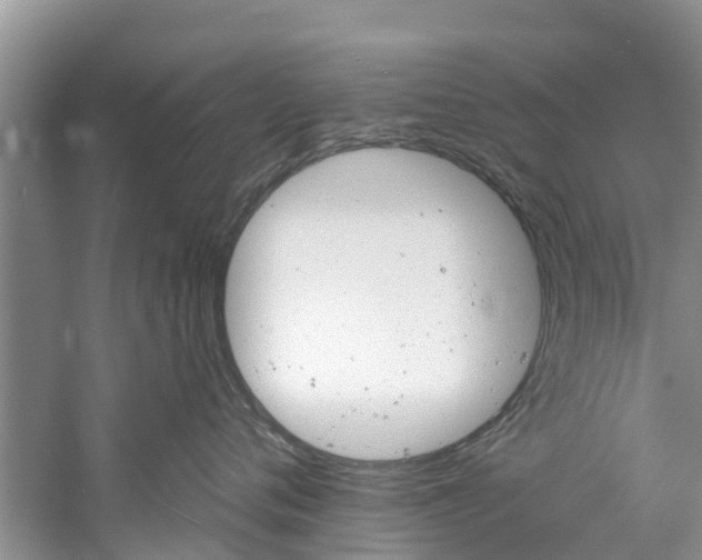 X0000061150720200511181033