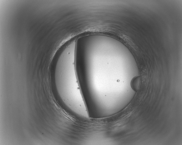 X0000061150727200511181032