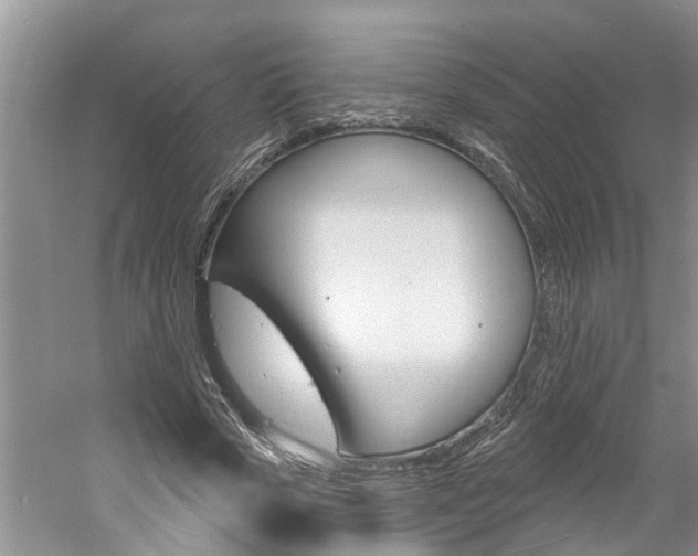 X0000061150729200511181032