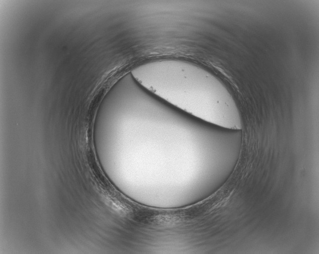 X0000061150733200511181032