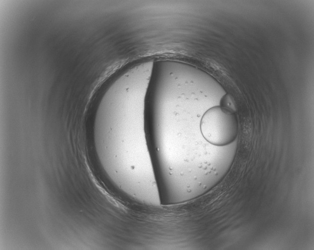 X0000061150734200511181032