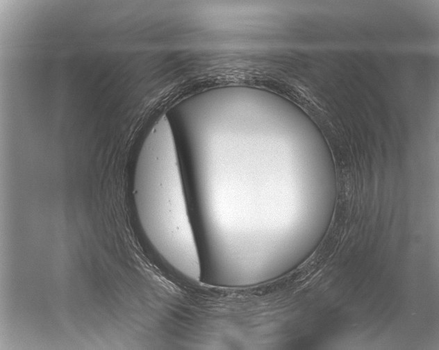 X0000061150737200511181032