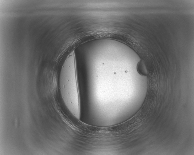 X0000061150742200511181032