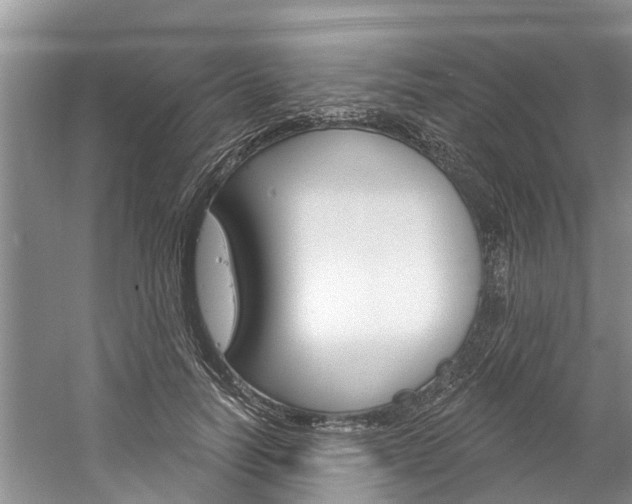 X0000061150746200511181032