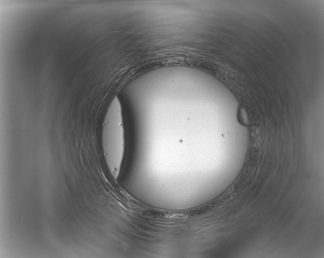 X0000061150753200511181032