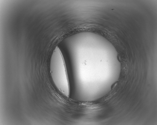 X0000061150758200511181032