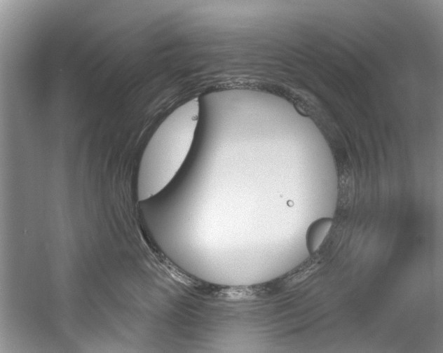 X0000061150765200511181033