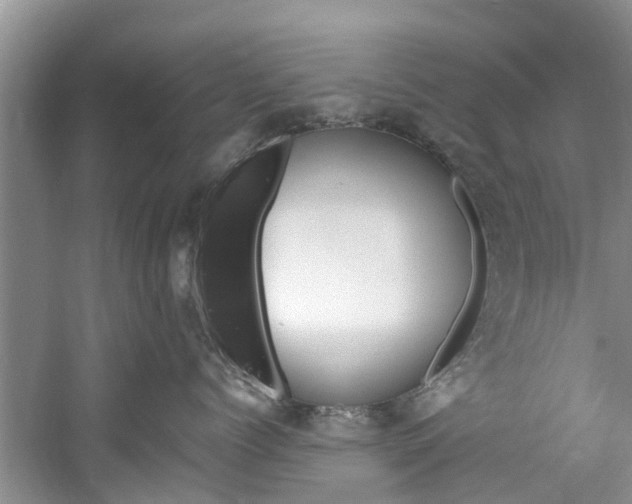 X0000061150768200511181033