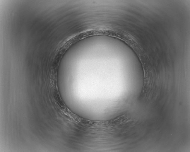 X0000061150773200511181032