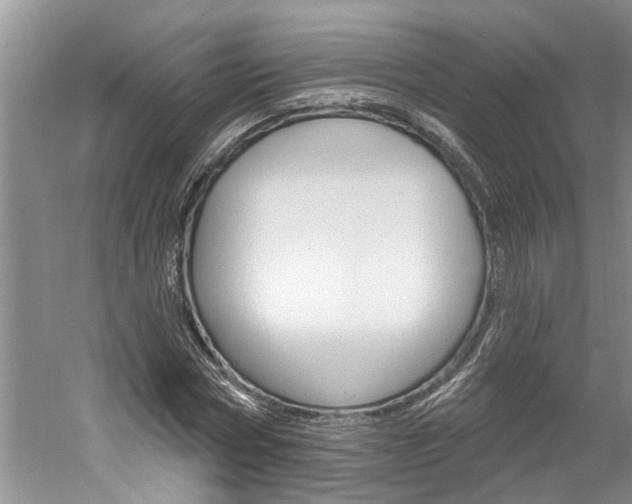 X0000061150778200511181032