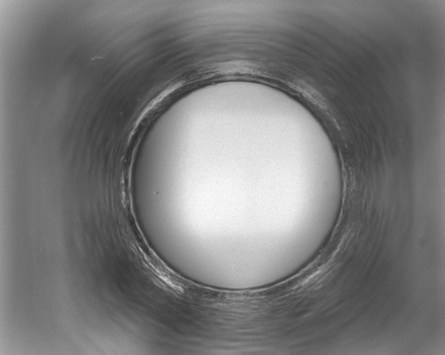 X0000061150782200511181032