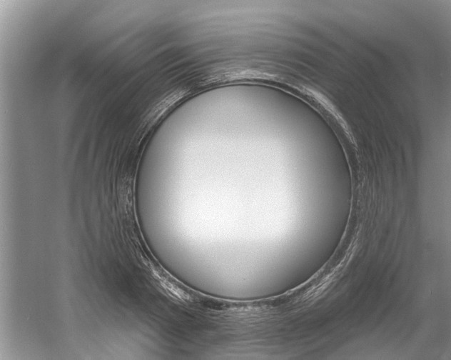 X0000061150793200511181031