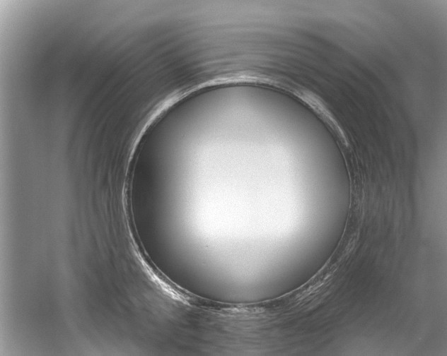 X0000061150805200511181031