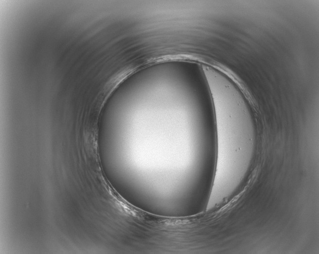 X0000061150809200511181031