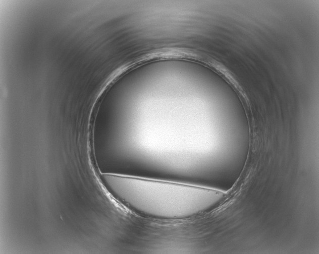 X0000061150853200511181031